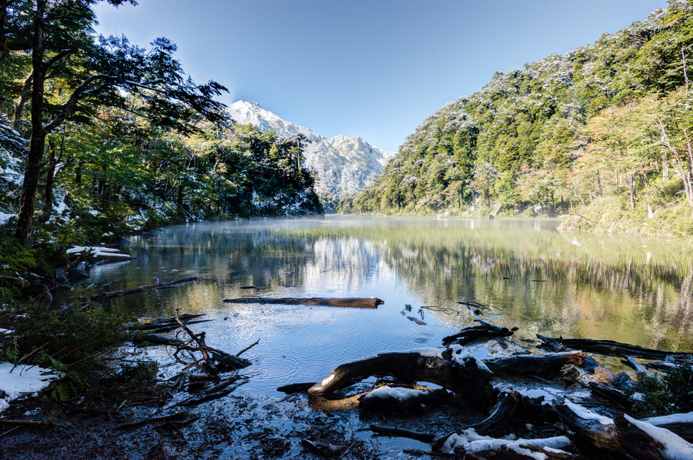 Beautiful,Forest,And,River,Landscape.,Lake,Toro.,Huerquehue,National,Park
