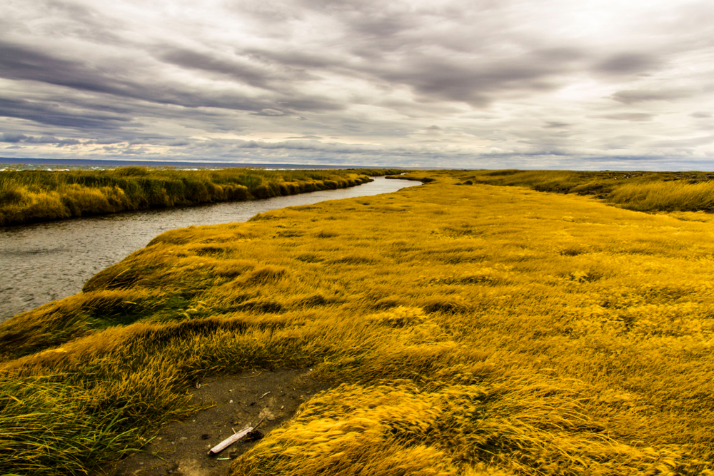 Tierra,Del,Fuego,Land,,In,The,Far,South,Of,America