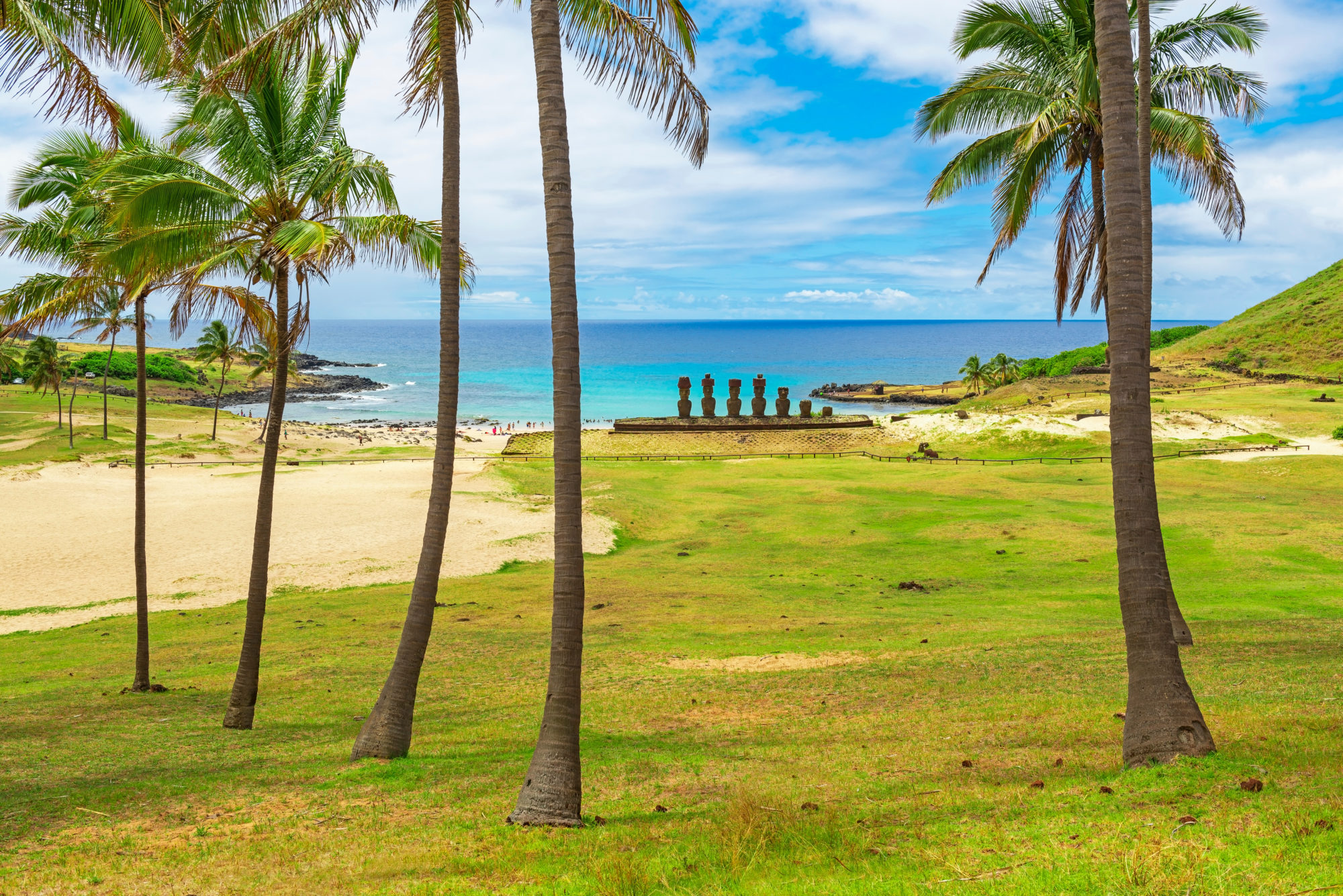 Palm,Trees,On,Anakena,Beach,With,The,Silhouette,Of,The
