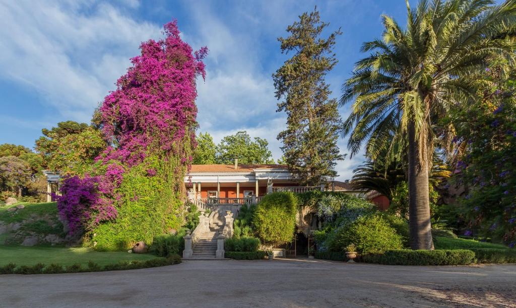 Casa Real 1