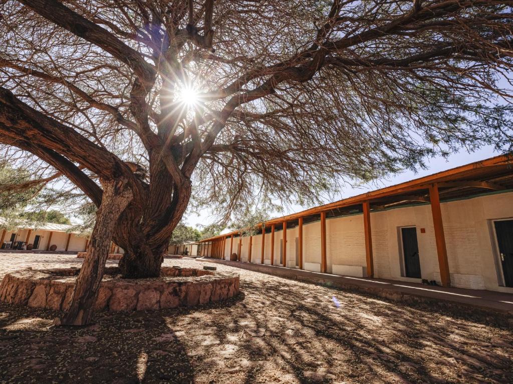 Exploraatacama9