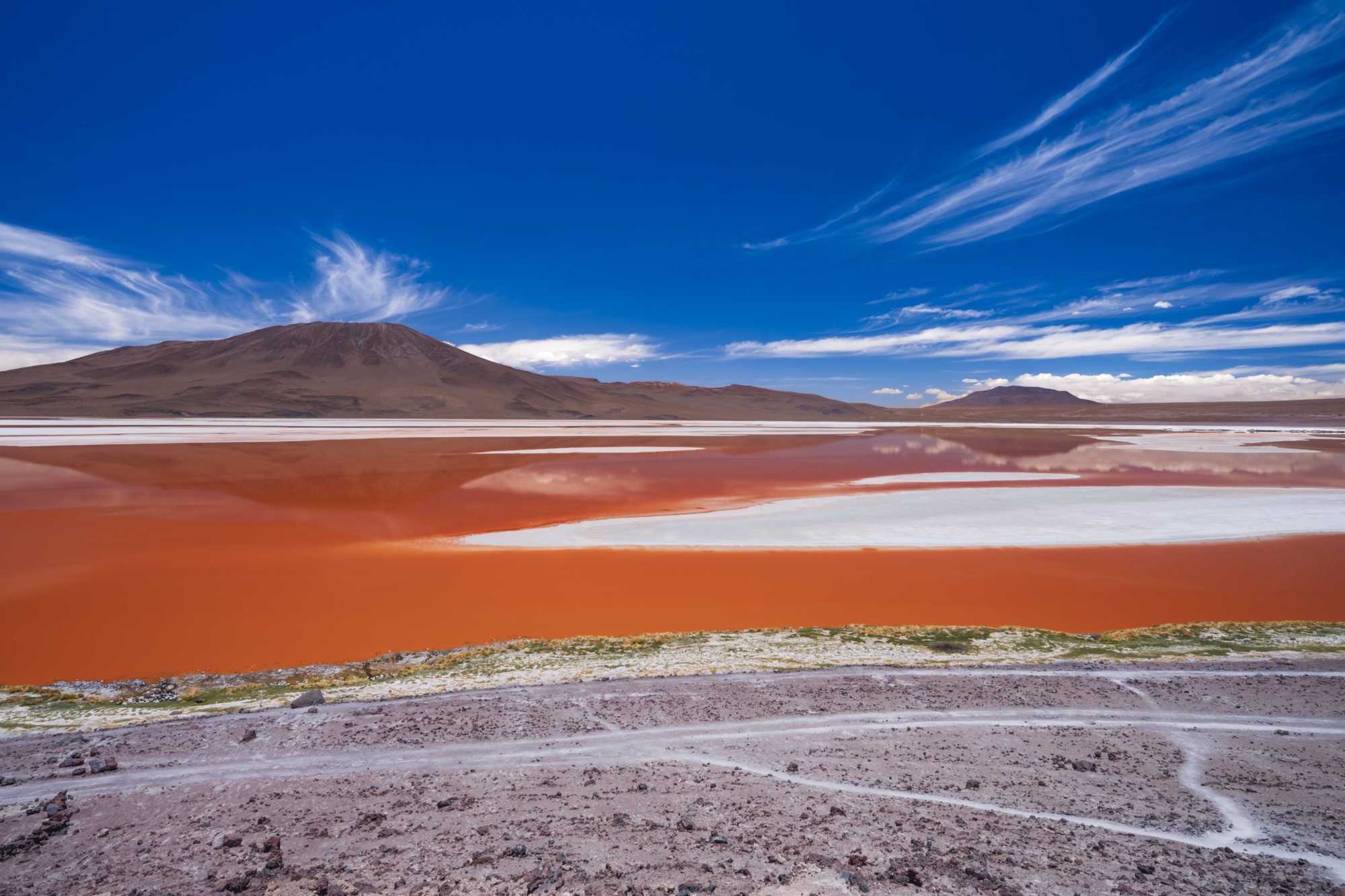The,Colorful,Colorada,Lagoon,With,In,The,Andes,Mountain,Range