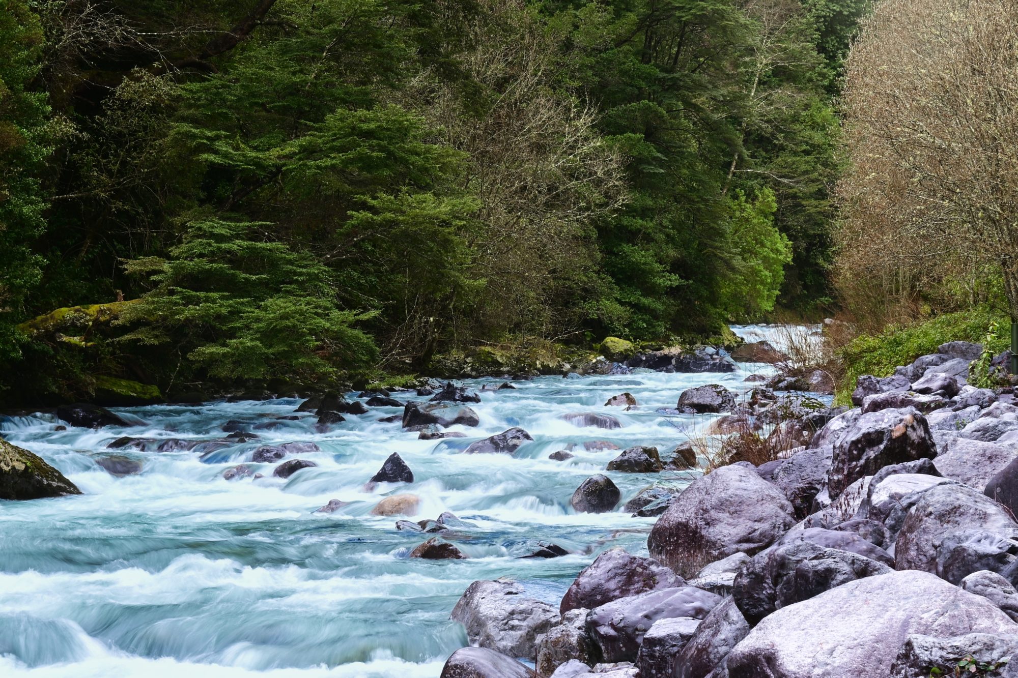 Liacura,River,In,Pucon,,Chile,,Next,To,Pozones,Hot,Springs