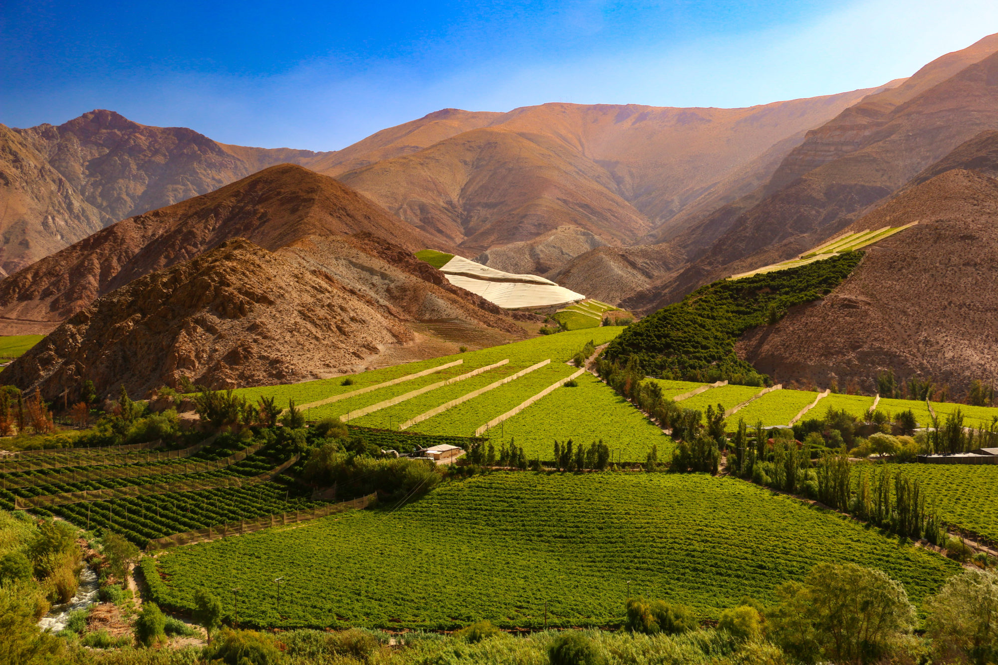 Valle del Elqui en Hotel CasaMolle