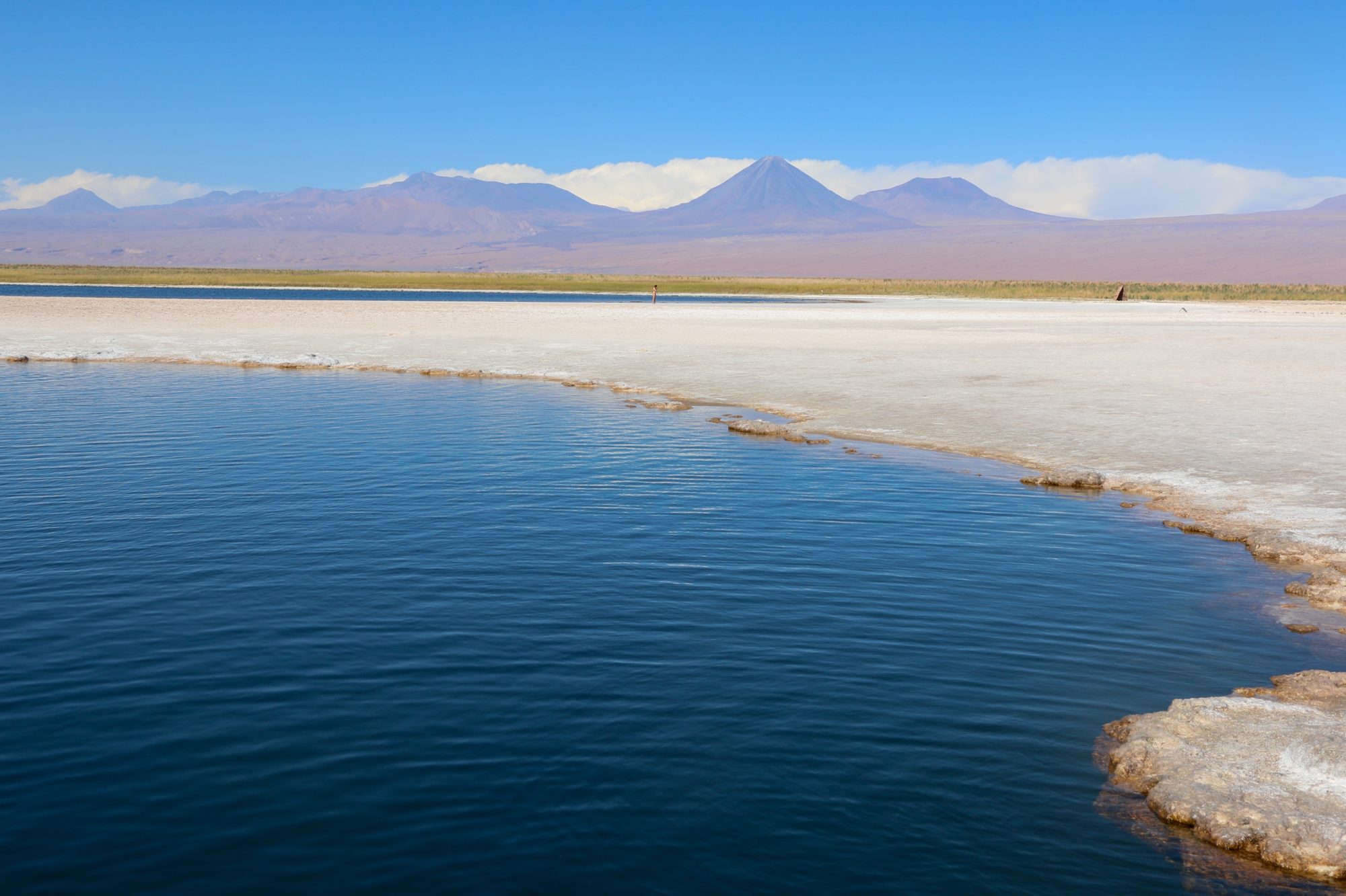 The,Nature,Around,Atacama,Deserts,Cejar,Lagoon,With,Volcanoes,In