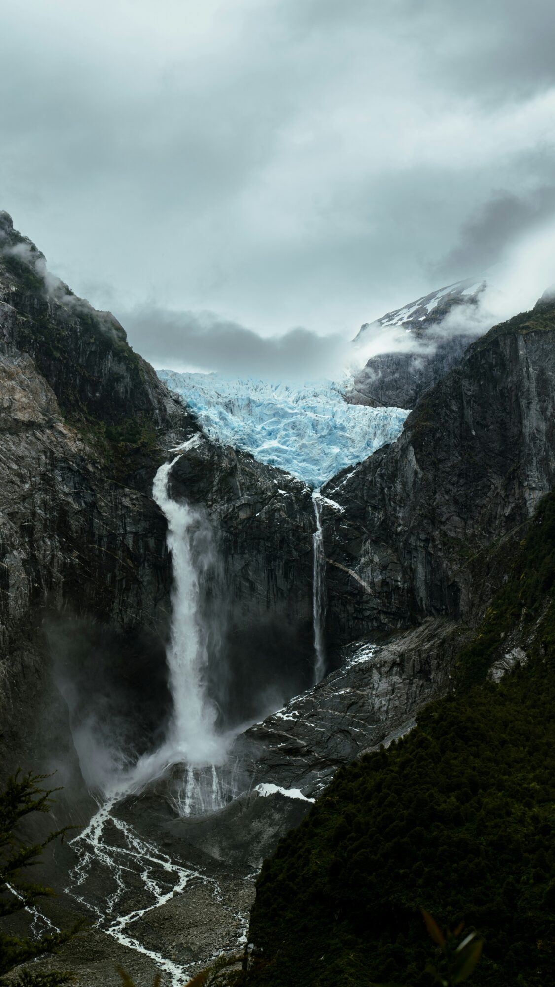 Árboles cubiertos de nieve en el sur de Chile